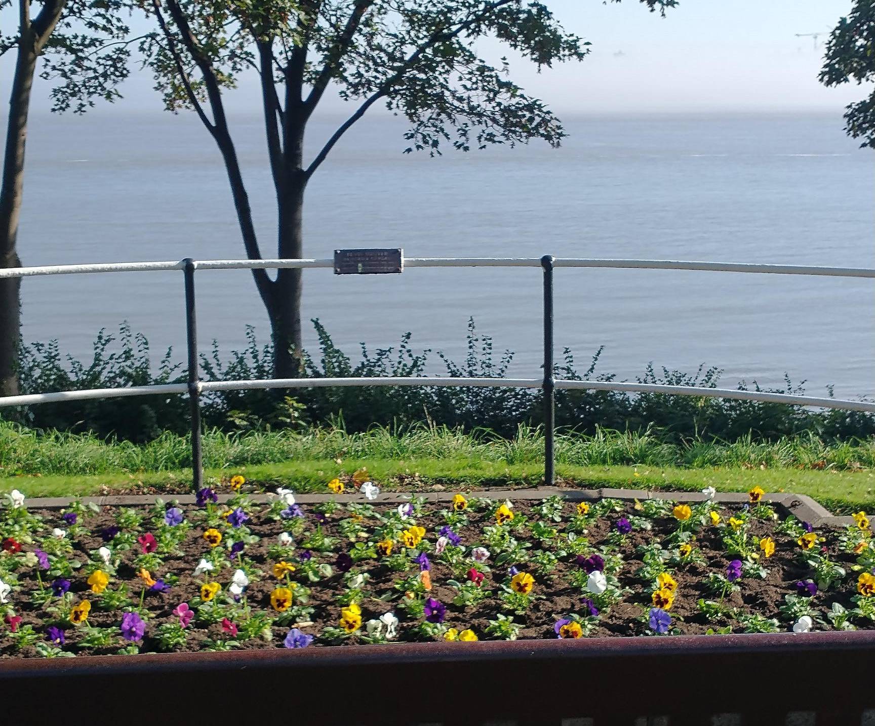 The Bevis Minter garden today. Image: Nautilus International Image:The Bevis Minter garden today. Image: Nautilus International